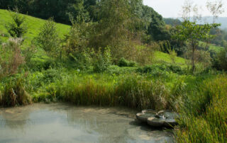 Shamrock treating farmyard runoff and household effluent. Pond Aeration using a Shamrock Flowform